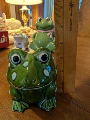 What Do You Call a Group of Frogs?