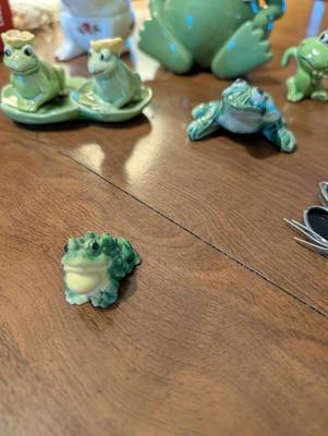 What Do You Call a Group of Frogs?