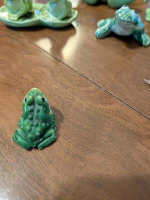 What Do You Call a Group of Frogs?