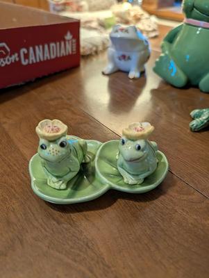 What Do You Call a Group of Frogs?