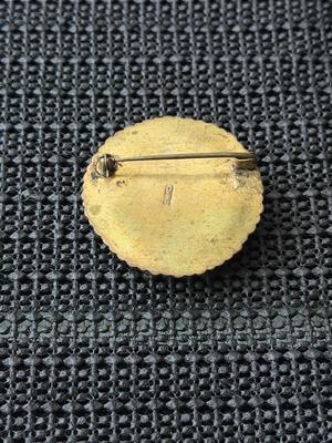 Vintage celluloid floral brooch like china marked