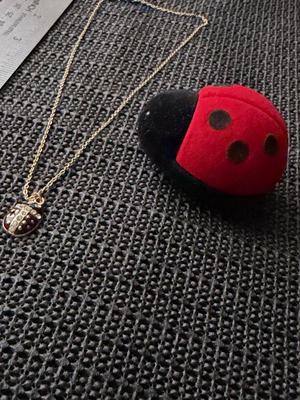 Vintage enamel ladybug necklace
