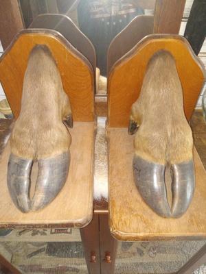 Sale Photo Thumbnail #54: Real deal.