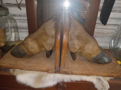 Sale Photo Thumbnail #55: Real deal.