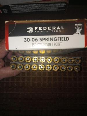 Federal 30/06 20 rds