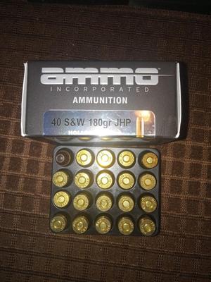 40 S&W 180 gr jhp hollow point