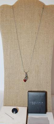 Cremation Ashes Memorial Stainless Steel "Heart in Hand" PENDANT (1¼" x ½") on a Rope Necklace Chain 21" L
