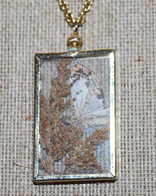 ORANGE & BROWN Spotted MOTH PENDANT (1½" x 1") in Gold Colored Case & Gold Tone Necklace Chain 24" L