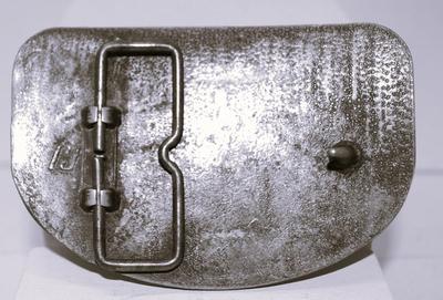 Raleigh Lights" with Semi-Truck Belt Buckle 3½" x 2¼"