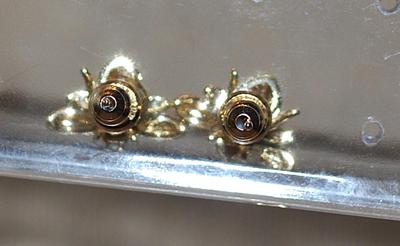 Small All Gold Colored Earrings Set (¼") with a Stud Style Clasp