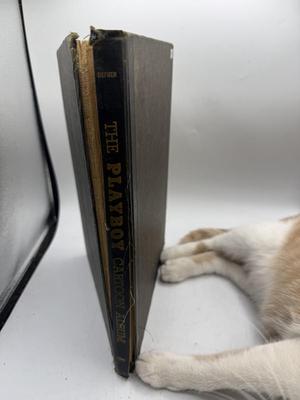 The Playboy Cartoons