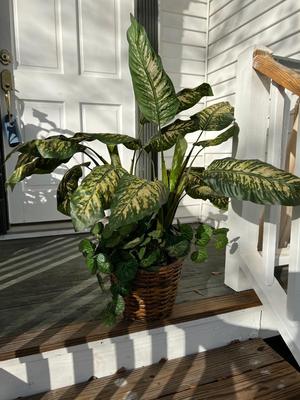 Set Of 2 Faux Plants
