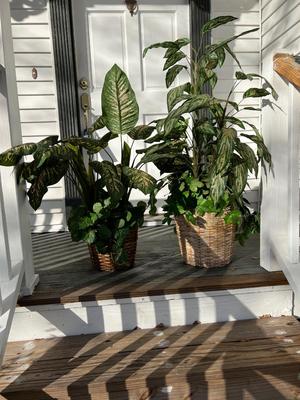 Set Of 2 Faux Plants