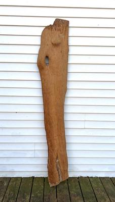 CYPRESS?? Large Slab Of Wood