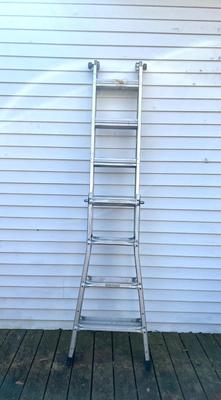 Adjustable Metal Ladder