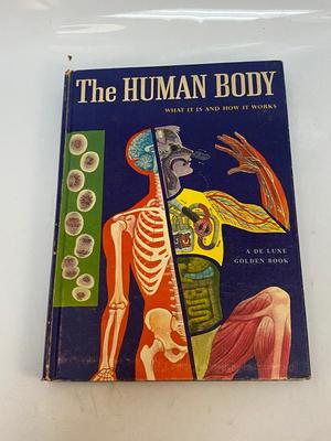 Vintage 1959 Anatomy Health Book The Human Body What It Is and How It Works A De Luxe Golden Book