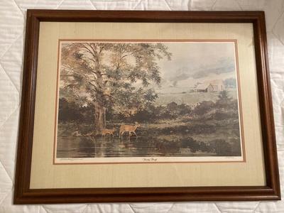 Framed, matted, signed print â€œPassing Throughâ€  by Michael Sloan #750/1000