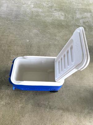 COLEMAN & IGLOO SET OF 3 Ice Chest
