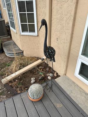 METAL YARD CRANE AND A CACTUS IN A FLOWER POT