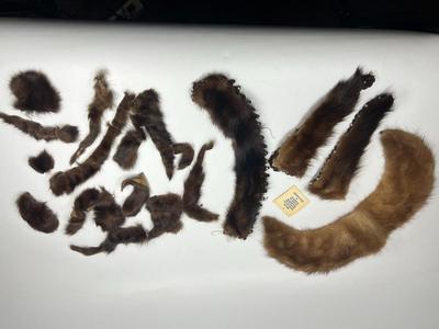 Mixed Lot of Vintage Miscellaneous Mink Fur Trim Collar Scraps for Fashion & Craft