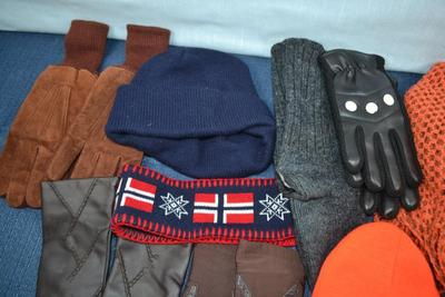 LOT 363 WINTER HATS AND GLOVES