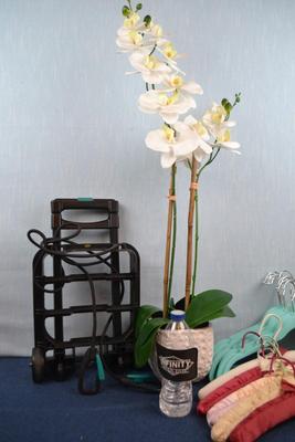 LOT 385. HOME DECOR ARTIFICIAL PLANT, HANGERS AND LUGGAGE CART