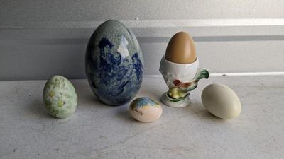 Eggcellent