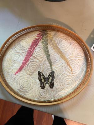 !RATTAN BUTTERFLY COASTER SET