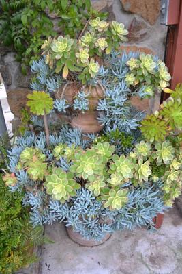 LOT 592 54" TALL FOUNTAIN FILLED WITH PLANTS