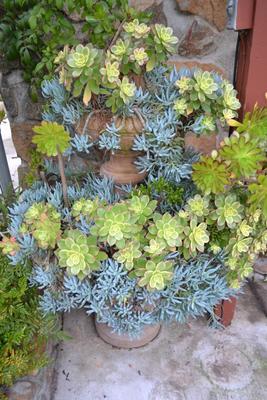 LOT 592 54" TALL FOUNTAIN FILLED WITH PLANTS
