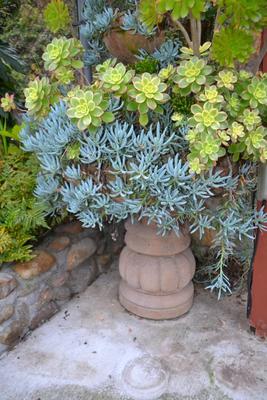 LOT 592 54" TALL FOUNTAIN FILLED WITH PLANTS