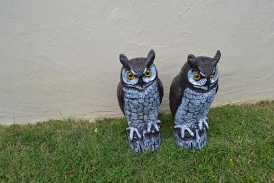 LOT 696. PAIR OF PLASTIC YARD OWLS