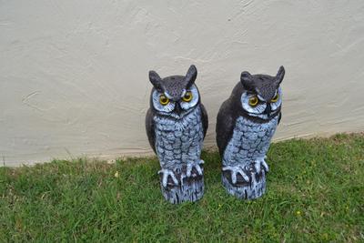 LOT 696. PAIR OF PLASTIC YARD OWLS