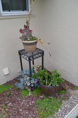 LOT 697. LIVE PLANTS IN PLASTIC POTS + PLANT STAND