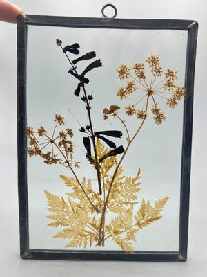 Vintage Pressed Flower Leaves in Framed Glass