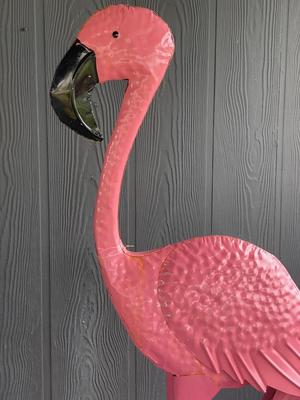 Texas sized Flamingo