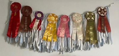 Vintage Horse Show Ribbons Rosette Swag