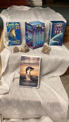 SEA ADVENTURES AND OCEAN RELATED MOVIES! EVEN FREE WILLY