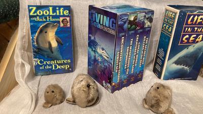 SEA ADVENTURES AND OCEAN RELATED MOVIES! EVEN FREE WILLY