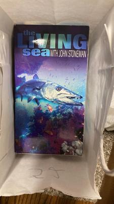 SEA ADVENTURES AND OCEAN RELATED MOVIES! EVEN FREE WILLY