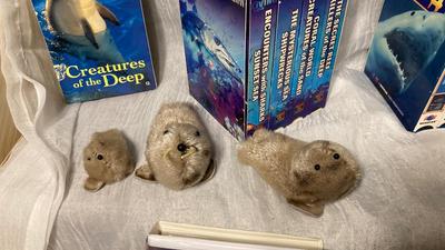 SEA ADVENTURES AND OCEAN RELATED MOVIES! EVEN FREE WILLY
