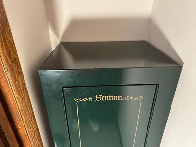 SENTINEL HOME SECURITY CABINET