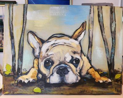 Frenchie for Sale