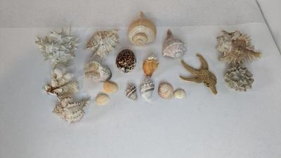 Sea Specimens