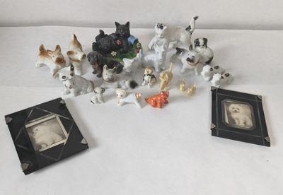 Cats and Dogs