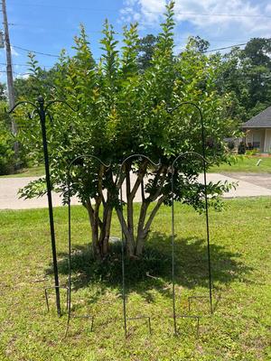 Shepard Hooks Lot
