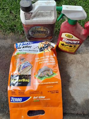 Ant bait and sevin bug killer