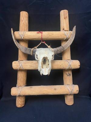 Southwestern Rustic Decor Wood Ladder with Small Cattle Cow Steer Skull