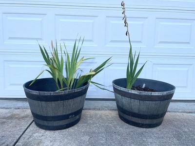 Two Matching Flower Pots