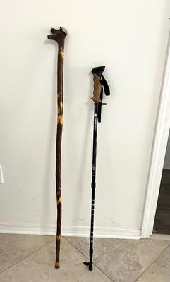 Hand Carved Walking Stick & Swiss Gear Adjustable Walking Stick.